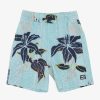 * Boys | Sale Boy'S 2-7 Sundays Layback 13 Boardshorts