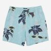 * Boardshorts | Classical Sundays Layback 17 Boardshorts